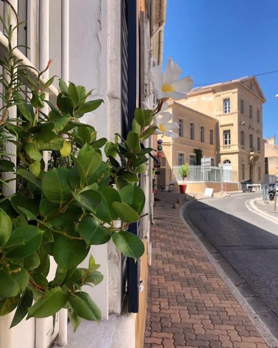 Studios Du Marin Sur Port De La Ciotat Eksteriør bilde